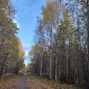 ���� C������, �������� - ��������� 6 ������� 2025 � ������ ���� ����������