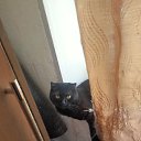���� ��������� �������, �������, 55 ��� - ��������� 26 ���� 2026