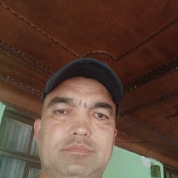 ���� ����, ������, 42 ���� - ��������� 8 ������� 2025