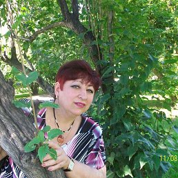 , 59, 