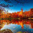 ���� �������, �����-���������, 41 ��� - ��������� 22 ������ 2023 � ������ ������ ��������