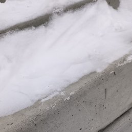 ����, ������������, 41 ���