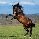 ���� ����, �������, 42 ���� - ��������� 29 ������ 2023 � ������ ���� ����������