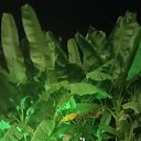 ���� �����, �����������, 41 ��� - ��������� 20 ������ 2024 � ������ ���� ����������