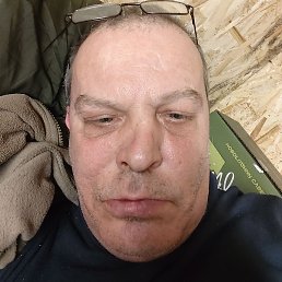 �������, ������, 46 ���