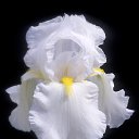 ���� �����, ���������, 56 ��� - ��������� 6 ����� 2025