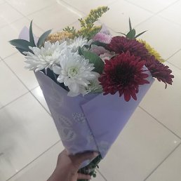 Nonku, ������������, 37 ���