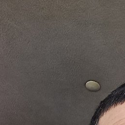 ����, �����, 51 ���