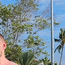 �����, �����-���������, 40 ���