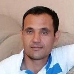 ����, ������, 40 ���