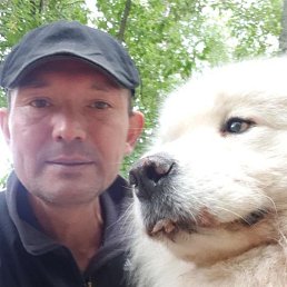 ������, 46 ���, ������