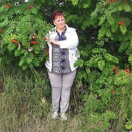 ������, ���������, 61 ���