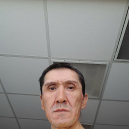  , 46 , 