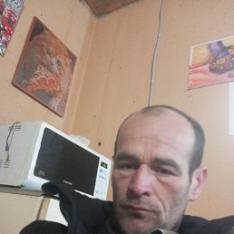 ������ ���, 44 ����, �������