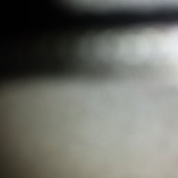 ���� �������, �����-���������, 82 ���� - ��������� 8 ���� 2024