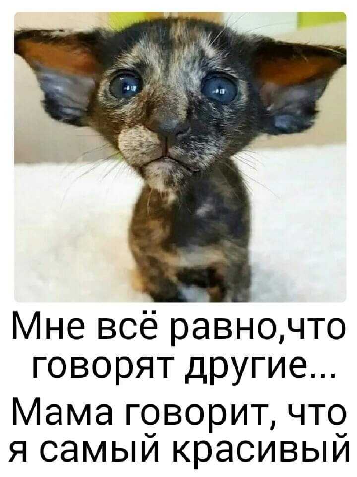  - !
