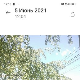 ���� ����, ���������, 59 ��� - ��������� 16 ������ 2026