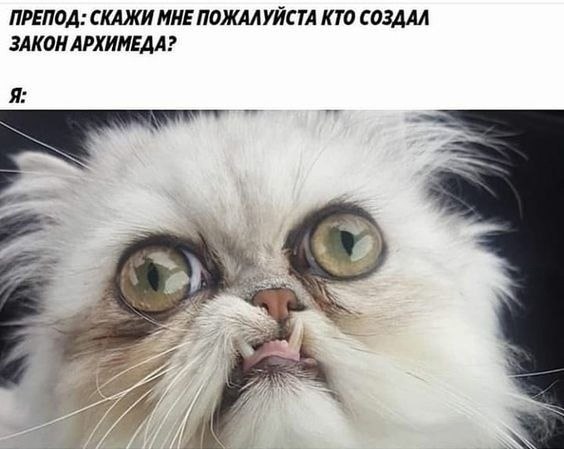 ? ,  ! - 22  2024  20:38