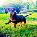 ���� ��������, �����-��������� - ��������� 12 ������ 2025 � ������ ������ ��������