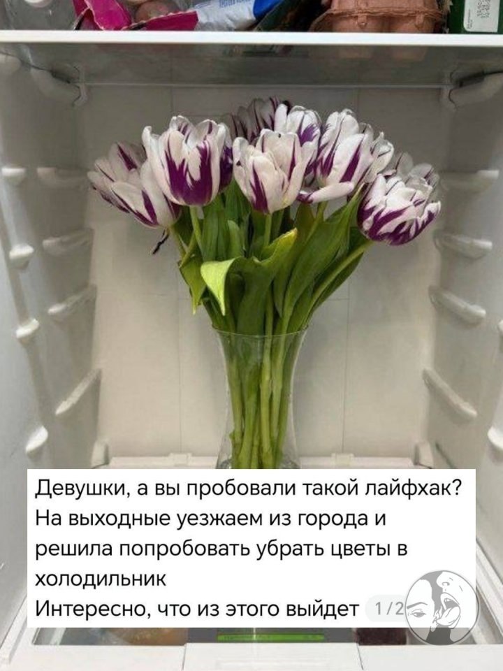 � �������� �������� ������������ ������� �������: ����� ����� ������ ��������� ������, ��� ������ � ... - 2