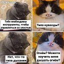 ���� ����, ������, 50 ��� - ��������� 23 ����� 2024 � ������ ������ ��������