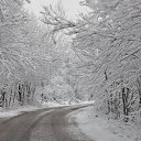 ���� �������, ������� �����, 50 ��� - ��������� 15 ������ 2025 � ������ ���� ����������