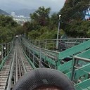 ���� �����, ����, 40 ��� - ��������� 8 ������� 2026 � ������ ���� ����������