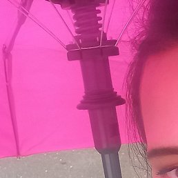 ���, �������, 49 ���