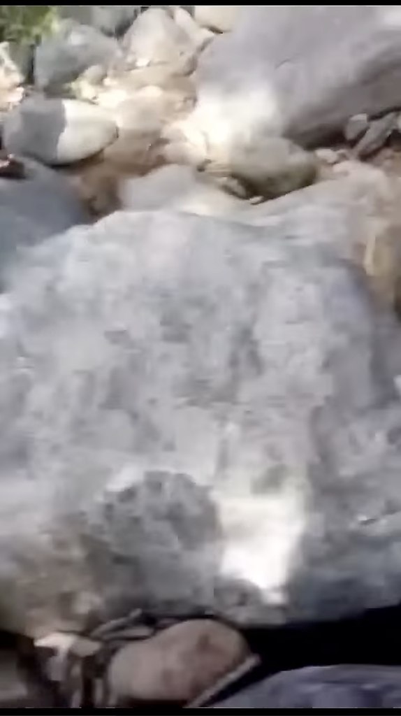 ������ � ��� �� ����� - 2