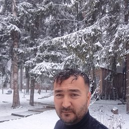 , 33, ,  