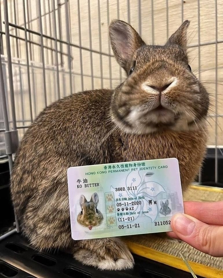 � �������� �������� �������� ������ ������������� ��������. ����� �����, ��� �� ������� �������. - 3