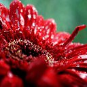 ���� ��������, ������, 47 ��� - ��������� 2 ������ 2024