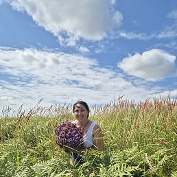 �������, �������, 44 ����