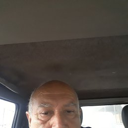 , 53, 