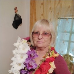 , 66, 