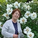 ���� ������, ����, 37 ��� - ��������� 8 ������� 2025