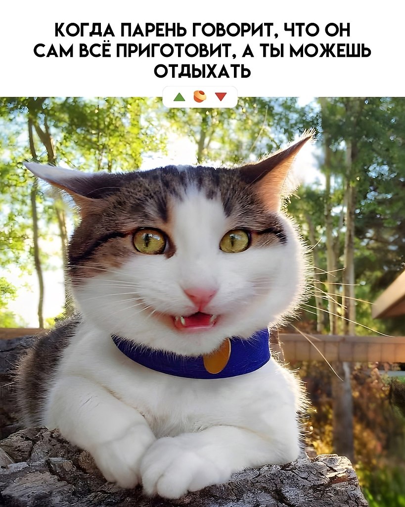 ���� - 27 ���� 2025 � 14:12