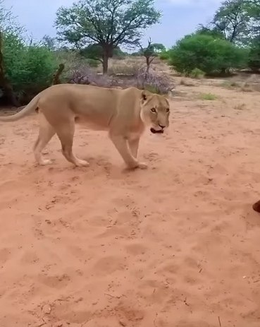 �� � � ����� �����! ����������� ������ �������� � ������. - 2