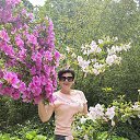 ���� �������, ����, 52 ���� - ��������� 25 ������� 2025 � ������ ���� ����������