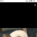 ���� ������, ������������, 67 ��� - ��������� 7 ��� 2024 � ������ ���� ����������