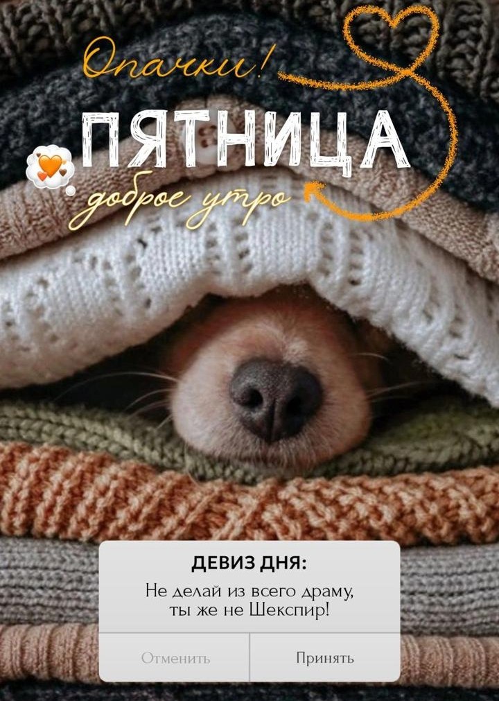   ,    . - 5  2025  07:58