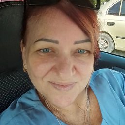 �������, ���������, 66 ���