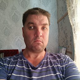 , 37, 