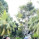 ���� ������, ��������, 46 ��� - ��������� 25 ��� 2025 � ������ ���� ����������