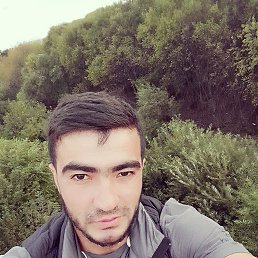 , 32, 