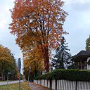 ���� ��������, ������ - ��������� 18 ������� 2025 � ������ ���� ����������