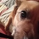 ���� �������, ������, 56 ��� - ��������� 22 ������� 2025 � ������ ���� ����������