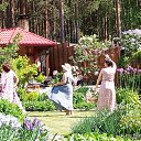 ���� �������, ������������, 51 ��� - ��������� 31 ��� 2025 � ������ ������ ������