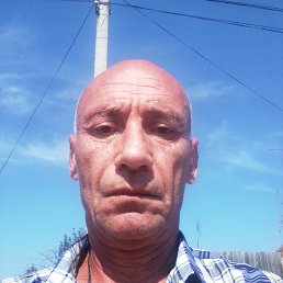 , 51, 