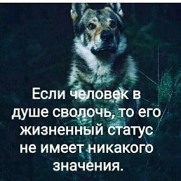  Vladimir, , 51  -  1  2025